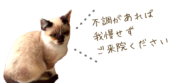 不調があれば我慢せずご来院ください